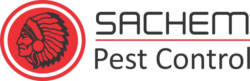 Insect Vs Plant Biological Warfare |Sachem Pest Control