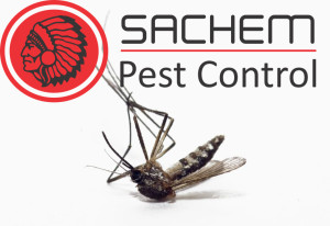 Boston Pest Removal Sachem