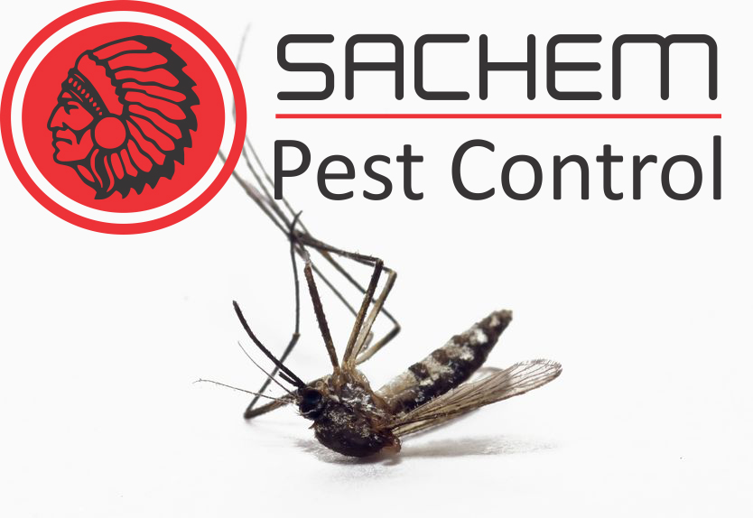 Winter Conditions Don’t Stop Pests